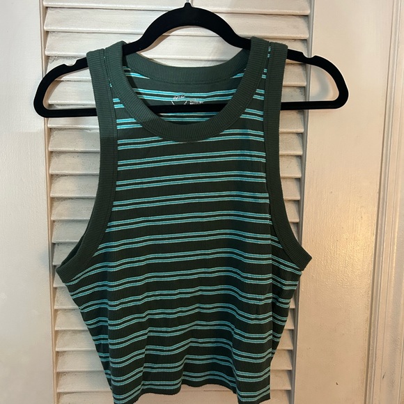 aerie Tops - Aerie Green and Blue Stripe Cropped Tank